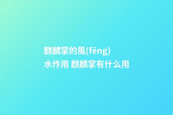 麒麟掌的風(fēng)水作用 麒麟掌有什么用